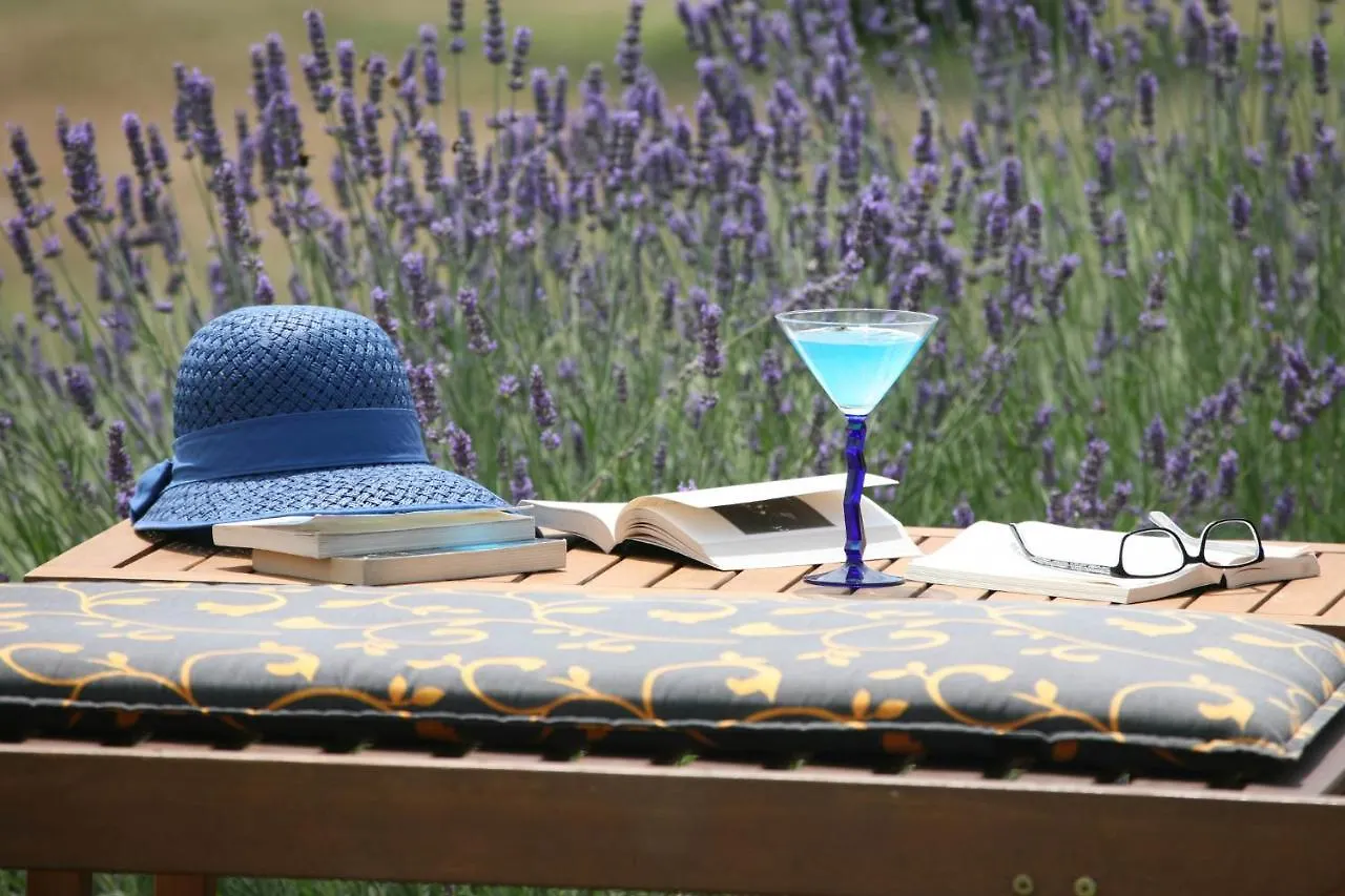 Beach Houses Ive & Beta, Romantic Oasis, Pool, Jacuzzi, Privacy And The Beauty Of The Mediterranean, Pomer - Istria 度假居