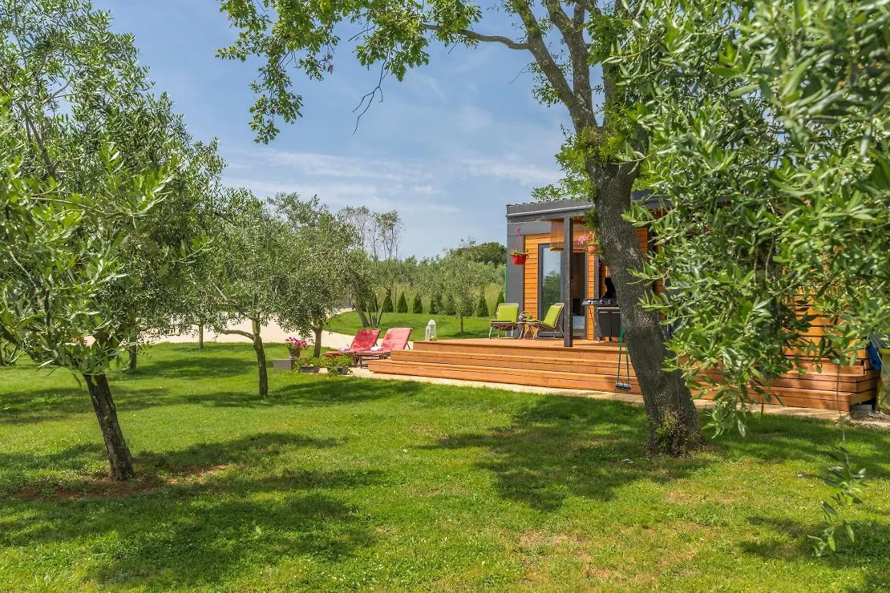 Beach Houses Ive & Beta With Pool & Jacuzzi In A Olive Grove, Pomer - Istria Holiday home