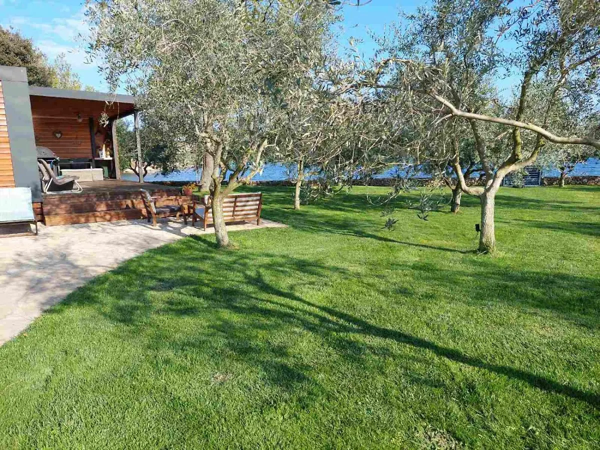 Holiday home Beach Houses Ive & Beta With Pool & Jacuzzi In A Olive Grove, Pomer - Istria