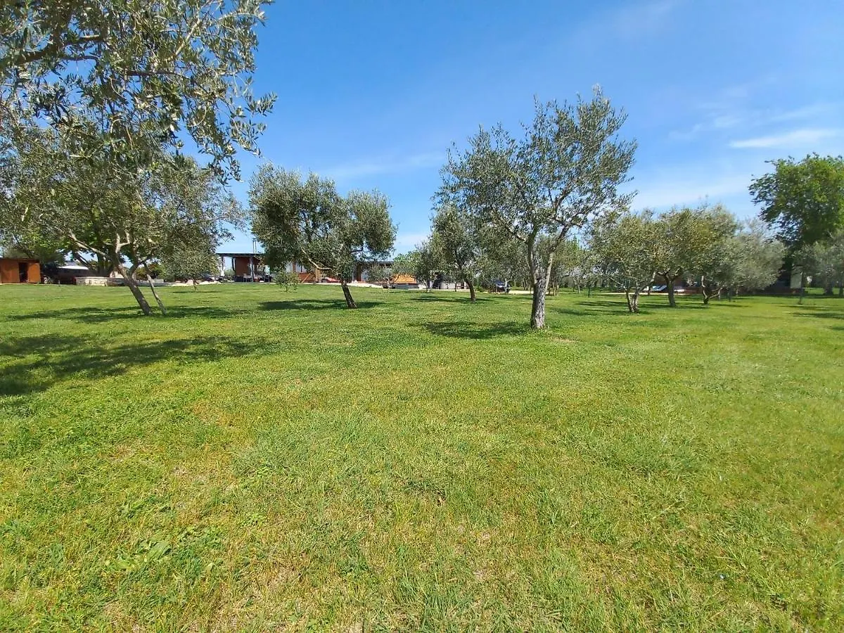 Beach Houses Ive & Beta With Pool & Jacuzzi In A Olive Grove, Pomer - Istria 0*,  Croatia